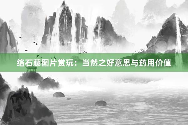 络石藤图片赏玩：当然之好意思与药用价值