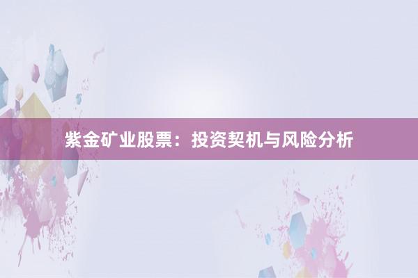 紫金矿业股票:投资契机与风险分析